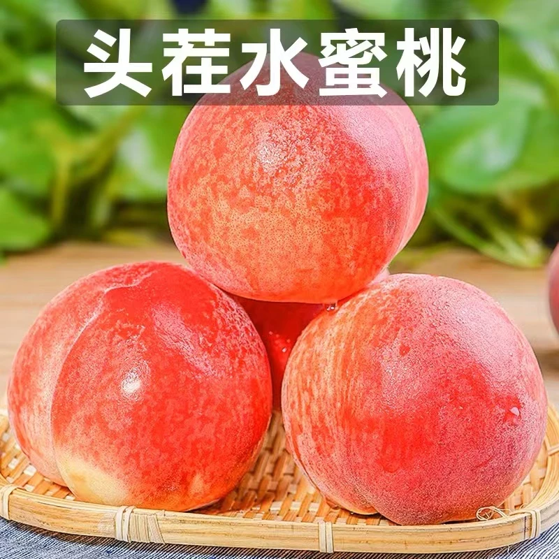 【现摘现发】沂蒙山水蜜桃当即新鲜水果嫩脆甜桃子软带箱5斤
