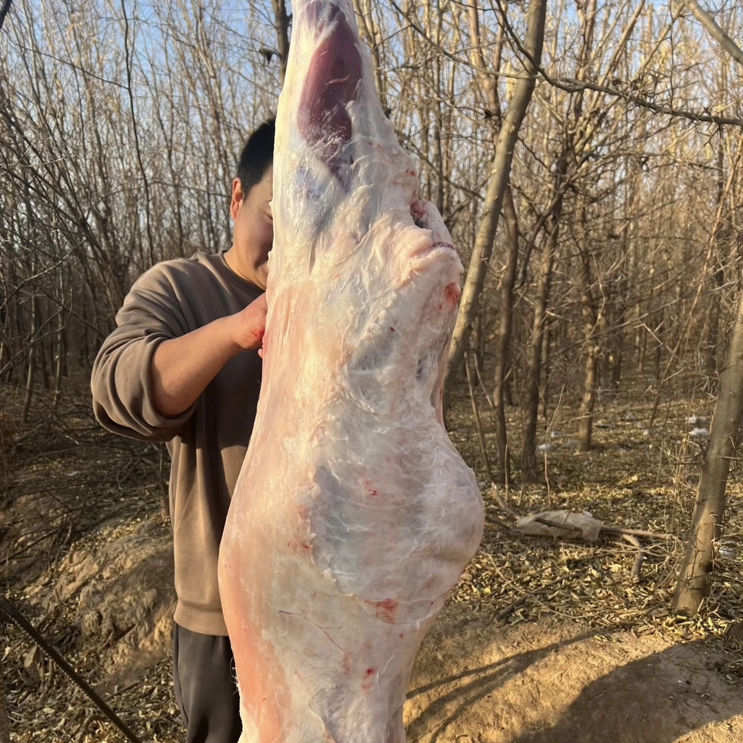 微笑书记【现切现称】高山散养山羊 顺丰冷链