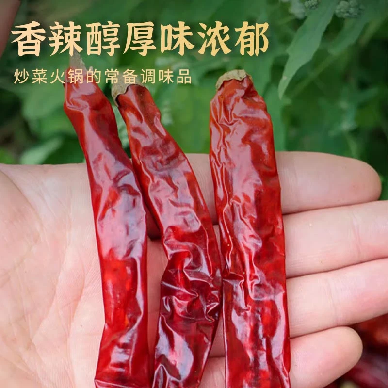 【精品二荆条】微辣特香贵州干辣椒麻辣炒菜下饭菜优质辣椒辣椒面