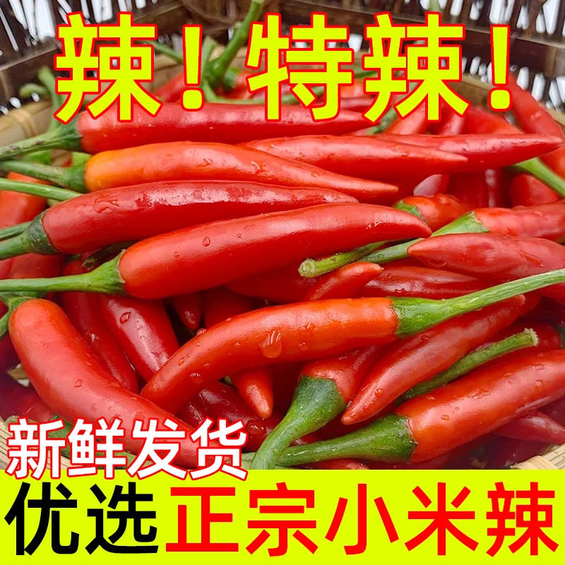 云南新鲜小米辣椒特辣朝天椒炒菜剁椒尖椒薄皮特辣小辣椒