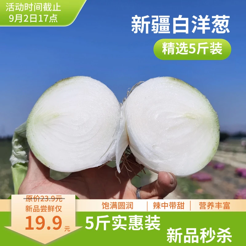 新疆白皮牙子白洋葱圆葱凉拌菜新鲜蔬菜农家自种葱头5/10斤