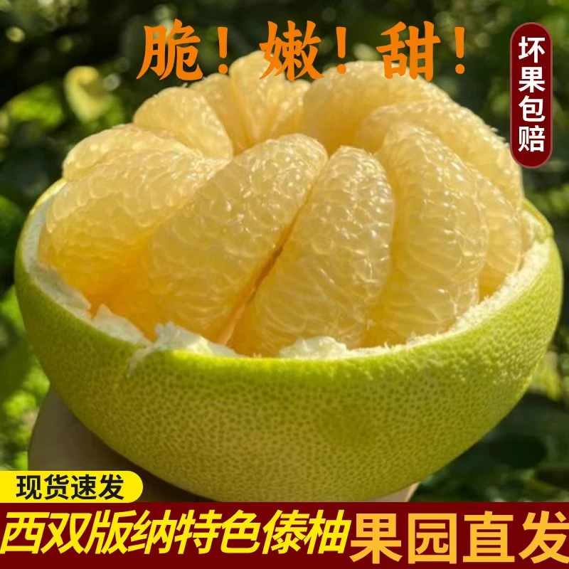 东试早柚正宗傣柚西双版纳新鲜水果采摘果园脆甜多汁青柚孕妇