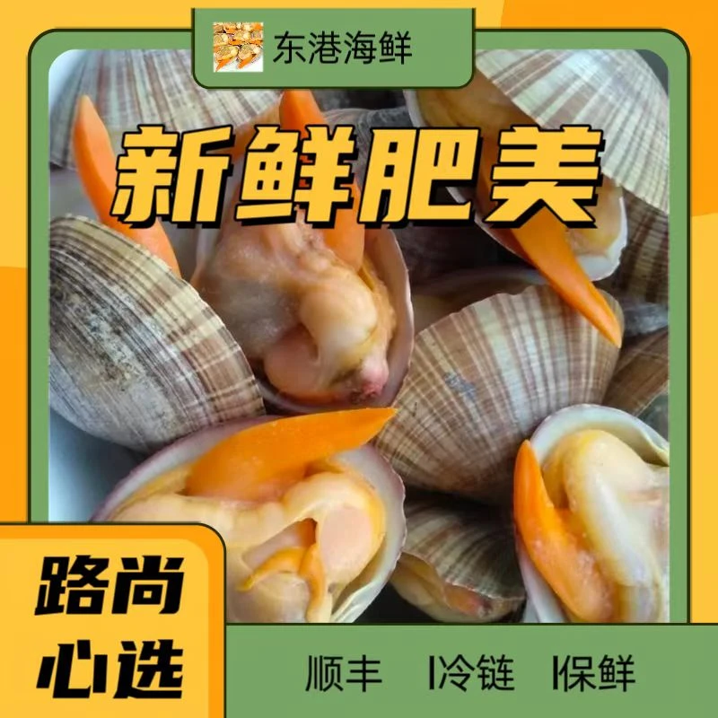 丹东东港大文贝二斤/三斤顺丰包邮保鲜不包活