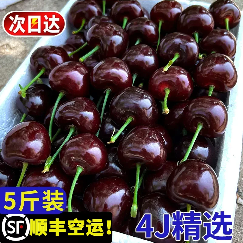 美国车厘子黑珍珠大樱桃26-32mm礼盒装1-5斤顺丰包邮新鲜孕妇水果