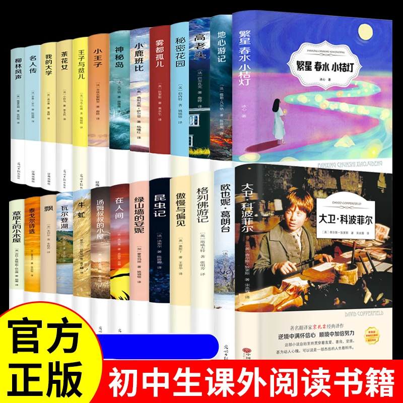 水浒传九年级古典国学名著畅销书 （世界文学名著）有声阅读小学