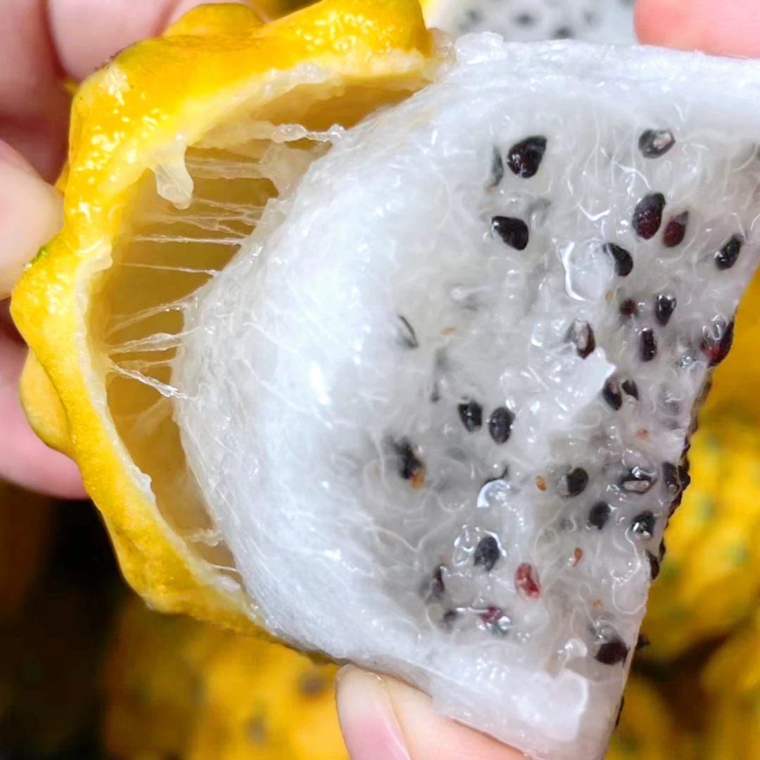 【甜润细腻】厄瓜多尔进口燕窝果 黄金麒麟果