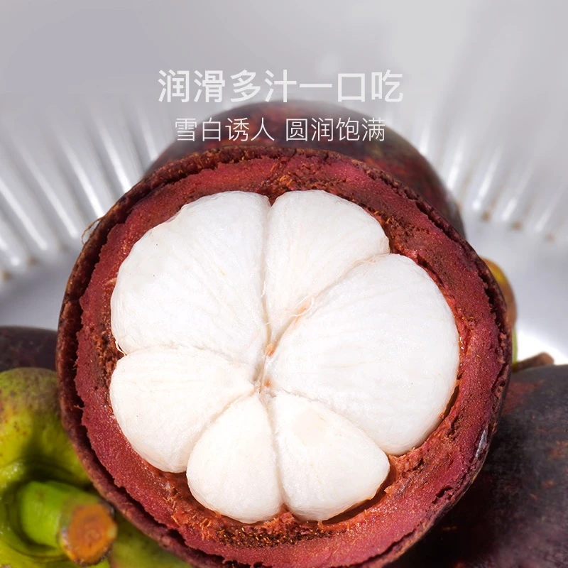 【丘丘甄选】进口山竹5A坏果包赔新鲜鲜甜圆润