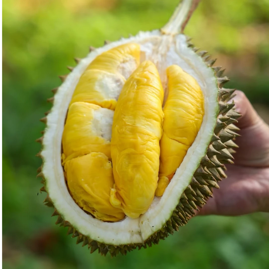【鲜果!A果】马来西亚空运鲜猫山王榴莲 正宗 D197--一个宝