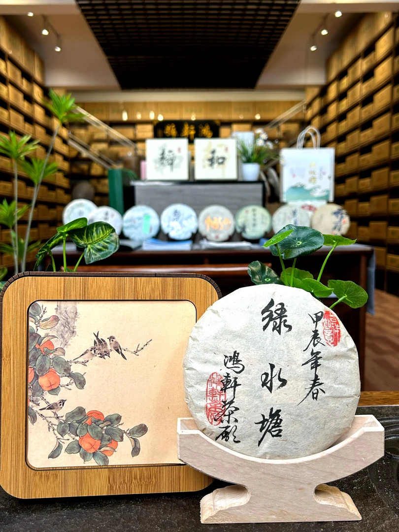 【鸿轩号】2024年绿水塘 200g 古树生茶