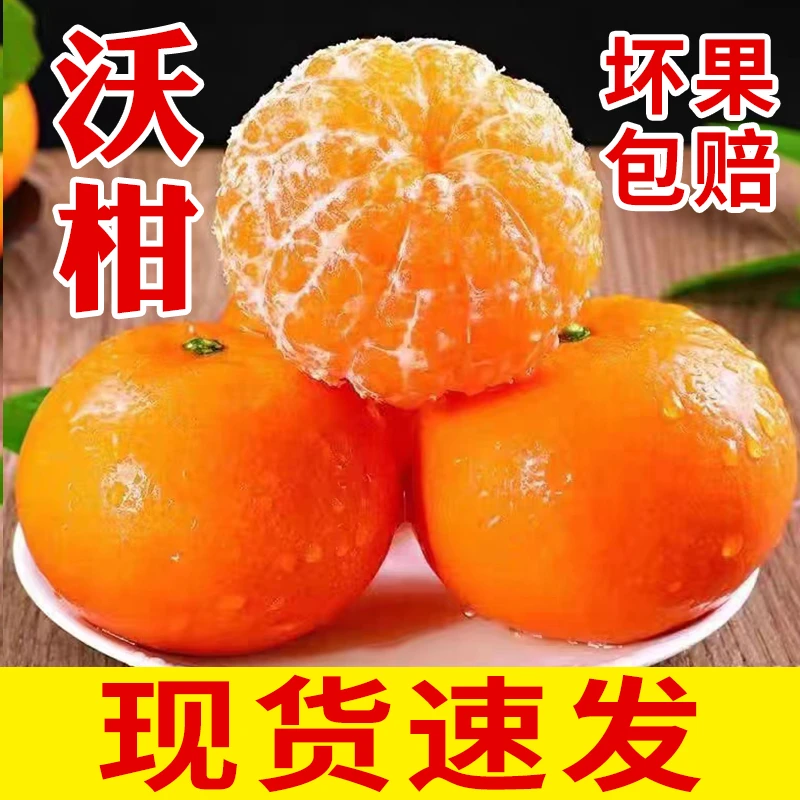 【坏果包赔】广西武鸣沃柑新鲜水果柑橘蜜桔有籽