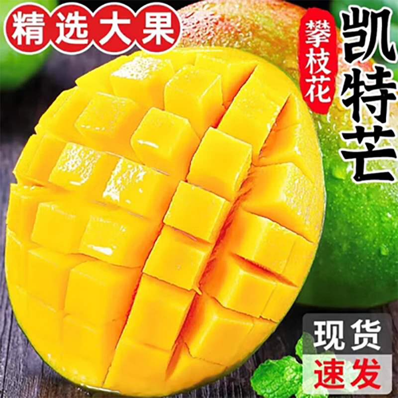 四川攀枝花凯特芒果新鲜3/5/10斤应季水果芒果特大忙果当季现摘