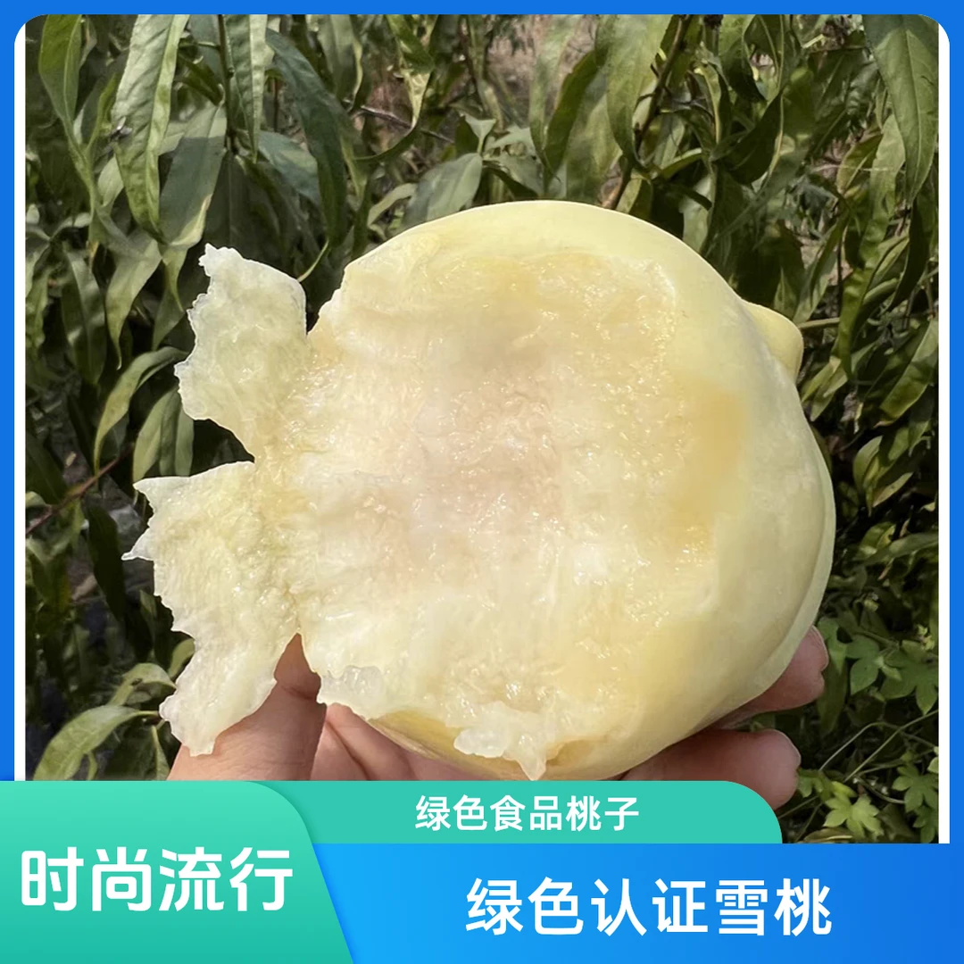 蒙阴蜜桃绿色认证食品 雪桃 冬桃 白桃 纯甜现摘现发 新鲜桃 大桃