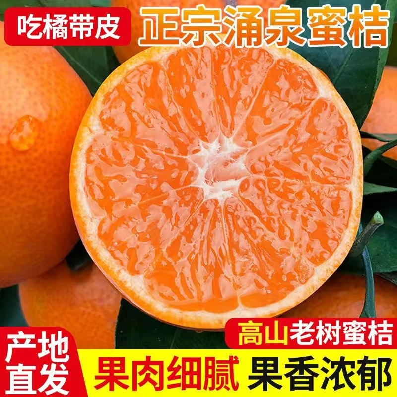 正宗高山涌泉蜜桔临海原产地发货现摘现发无打蜡无核桔新鲜水果