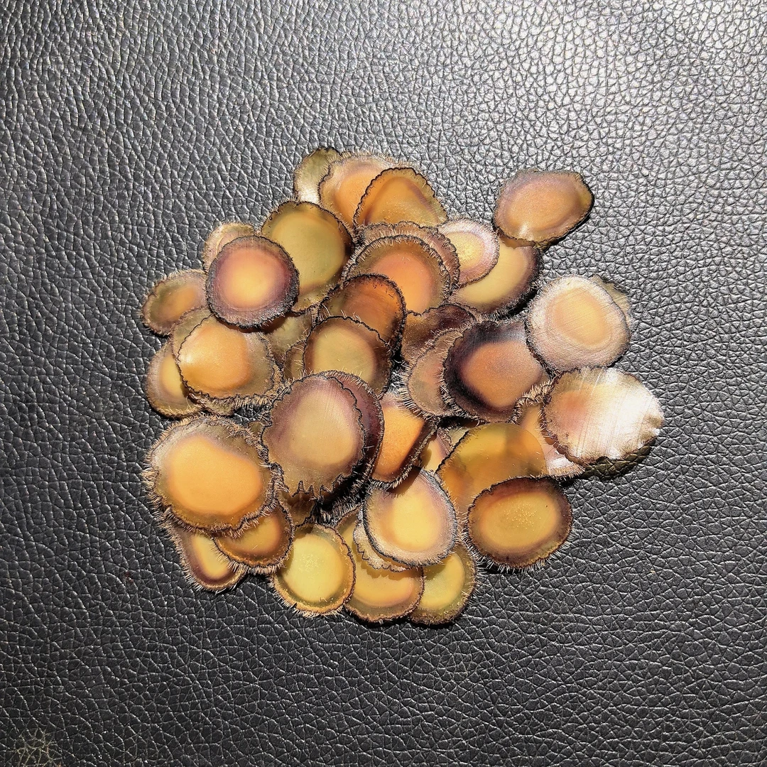 【年龄草】吉林鹿乡鹿茸片全腊片干鹿茸切片蜡片泡水泡茶煲汤炖菜