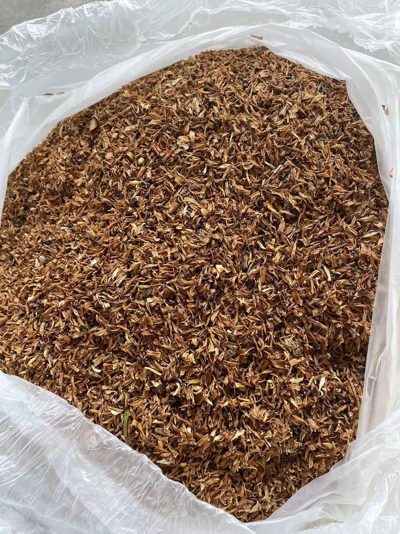 2025年新会陈皮东甲柑花