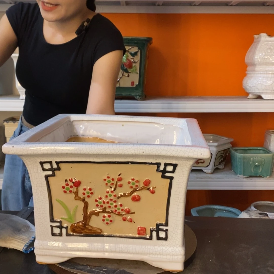 陶晴*。花盆花盆花盆