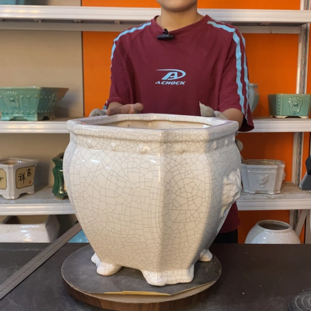 陶20CM（含）-50CM（不含）丁*莜