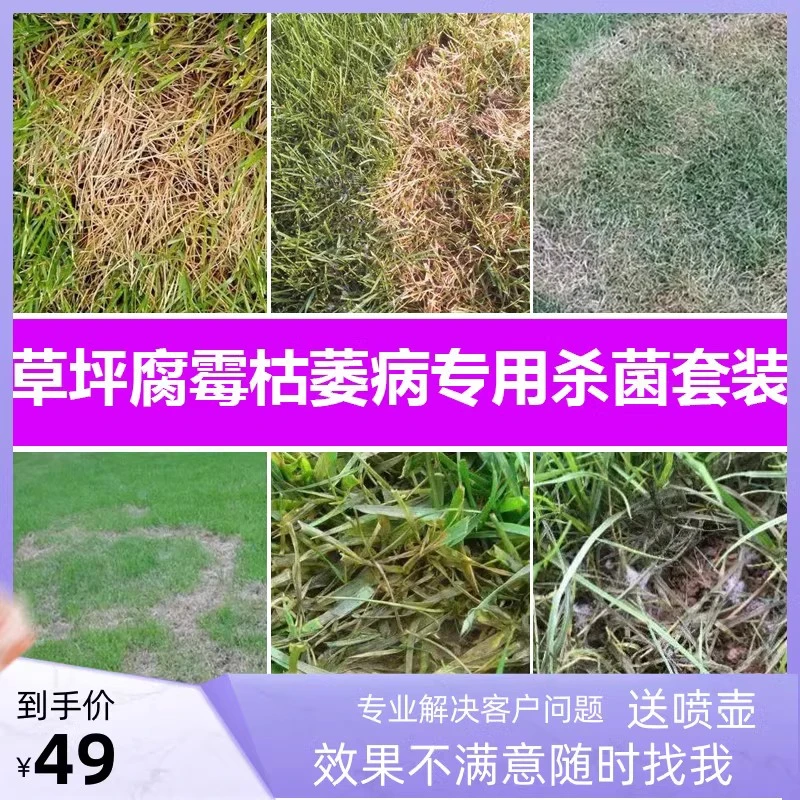 草坪腐霉枯萎病专用杀菌农药促进恢复生根草坪病害发黄枯萎烂根