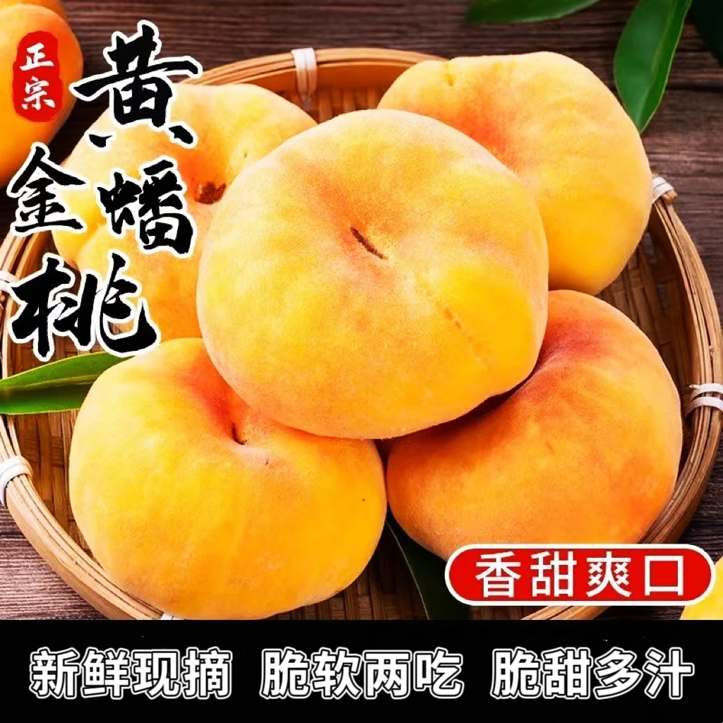 【现摘现发】山东黄毛蟠桃带箱5斤带箱脆甜爽口放软吃爆甜流汁流蜜A