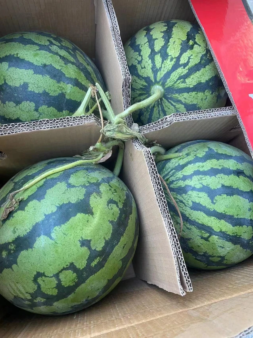 麒麟西瓜一个
