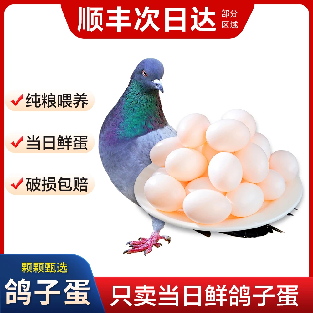 【山中美生态农场】农家散养新鲜鸽子蛋30枚杂粮鸽大鸽蛋现捡现发