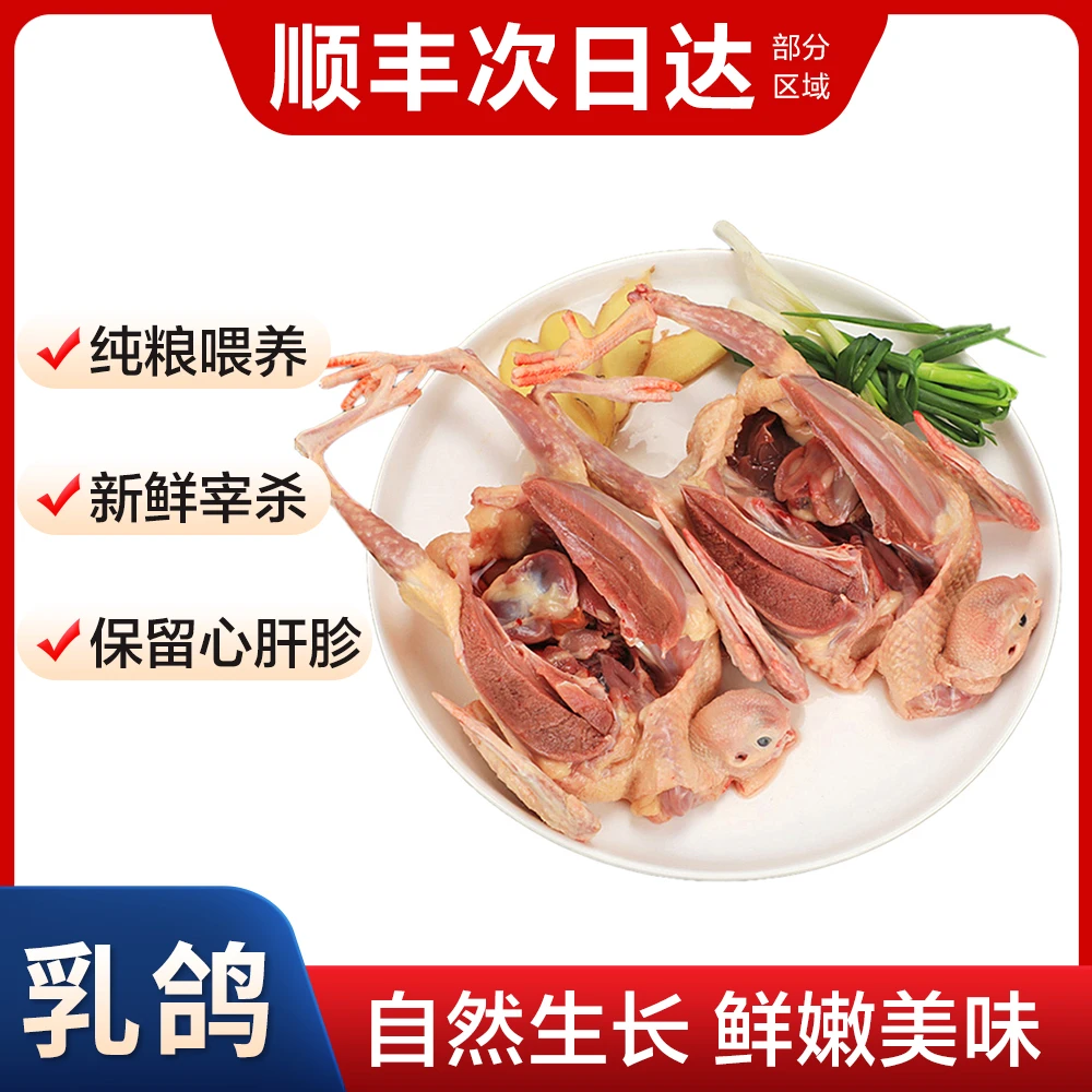 【山中美生态农场】农家散养乳鸽400g土鸽子新鲜现杀鸽子肉炖汤生鲜
