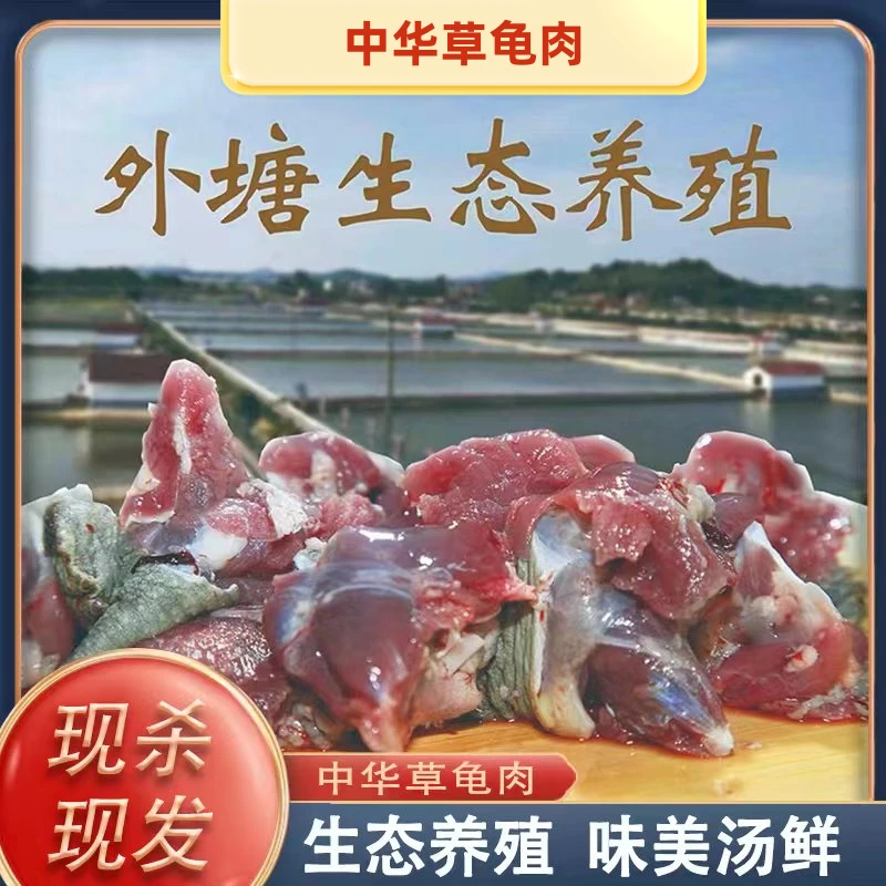 顺丰包邮草龟肉500克*3袋宰杀鲜活肉质急冻锁鲜真空包装香甜嫩