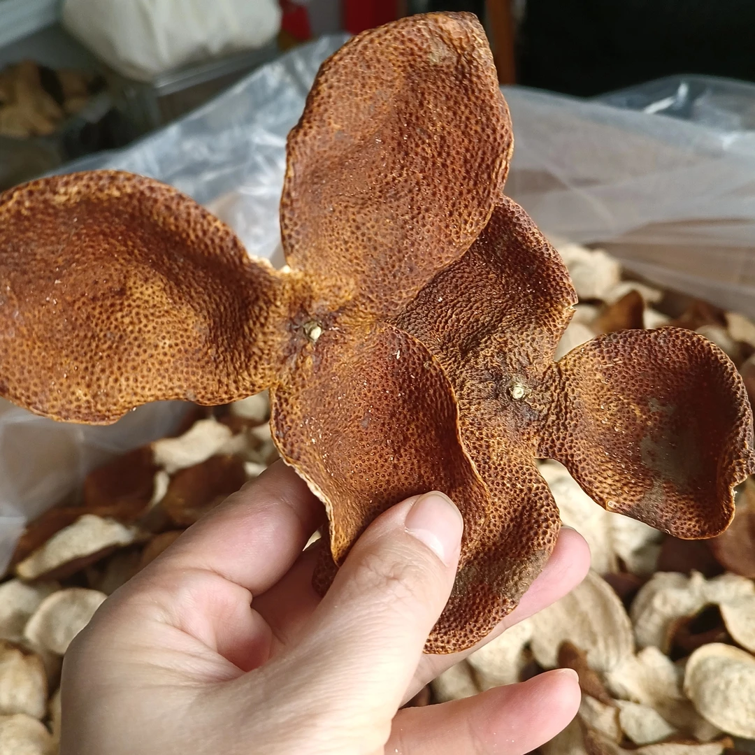 时国新会陈皮2022东甲原枝大红500克升级铁罐装3斤以上铁桶装