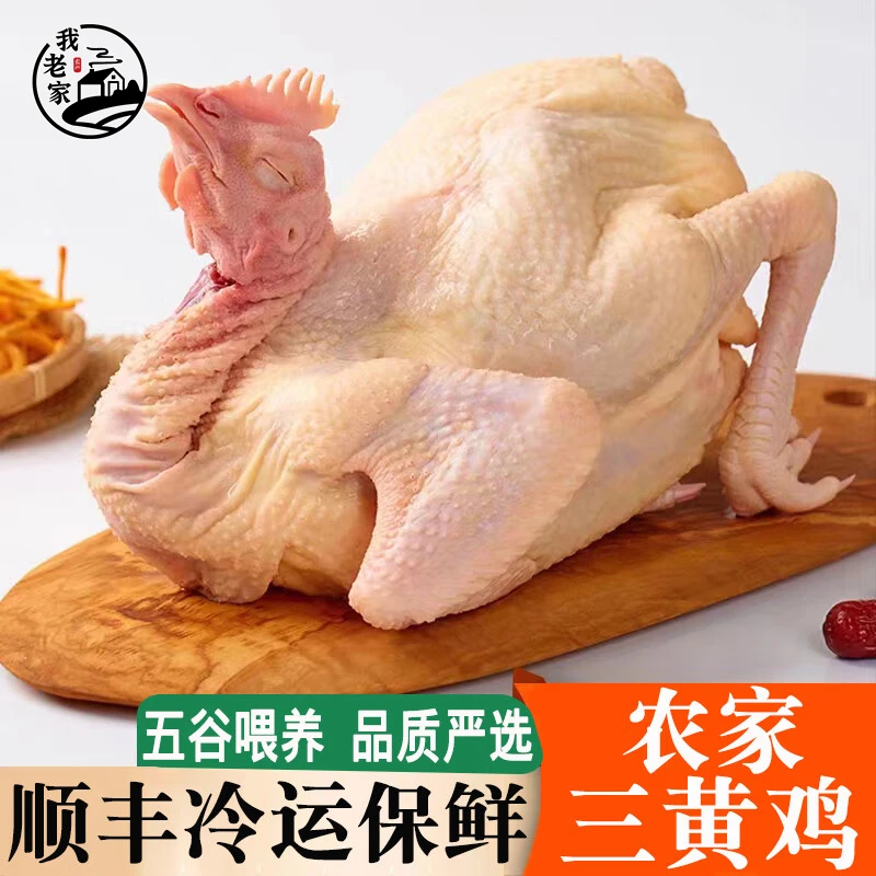 【顺丰包邮】农家散养三黄鸡3只 鸡肉生鲜整只装 700-750g/只