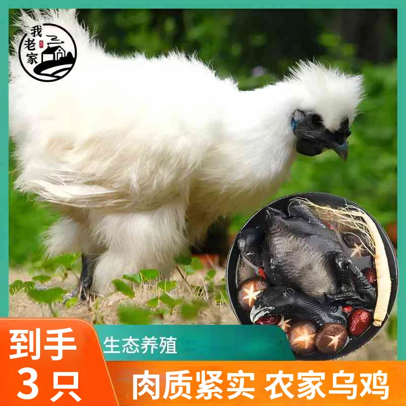 【我老家】乌鸡1000g/只*3只顺丰包邮