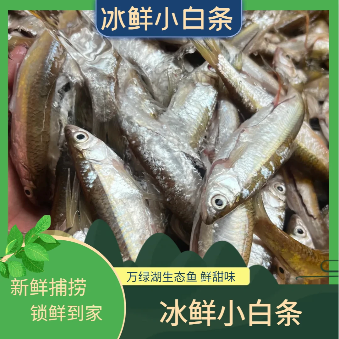 鱼哥俩夏日尝鲜万绿湖原生态冰鲜小白条手工去肚新鲜到家