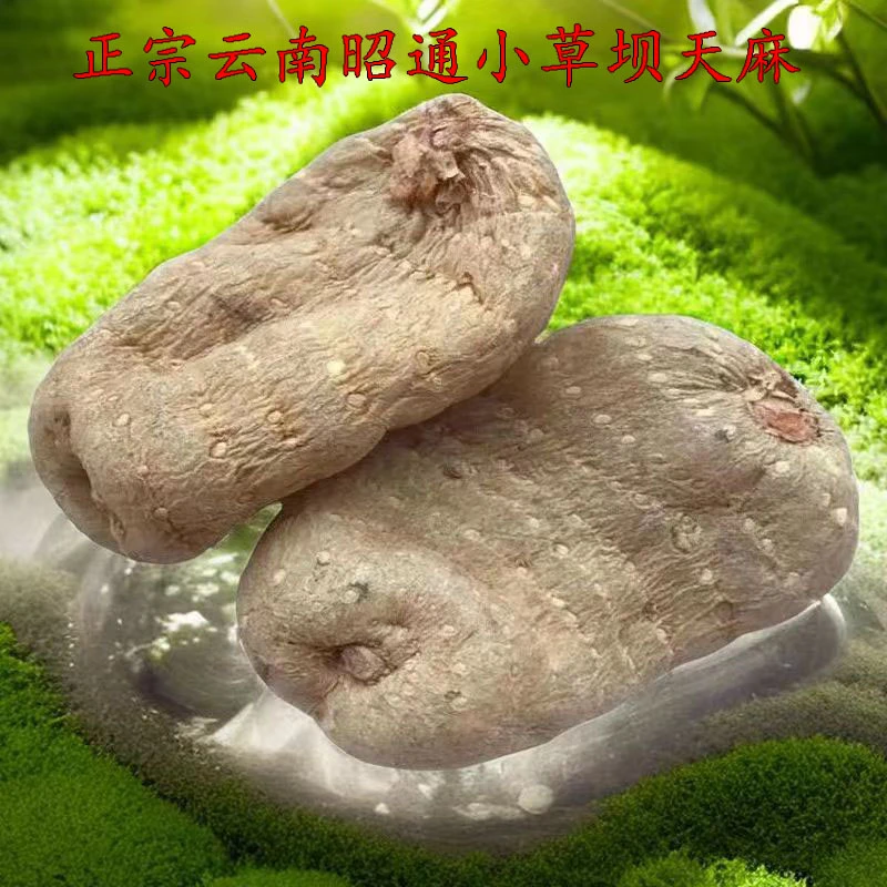 【干天麻】正宗云南昭通小草坝天麻干货高山乌天麻无硫250克500克