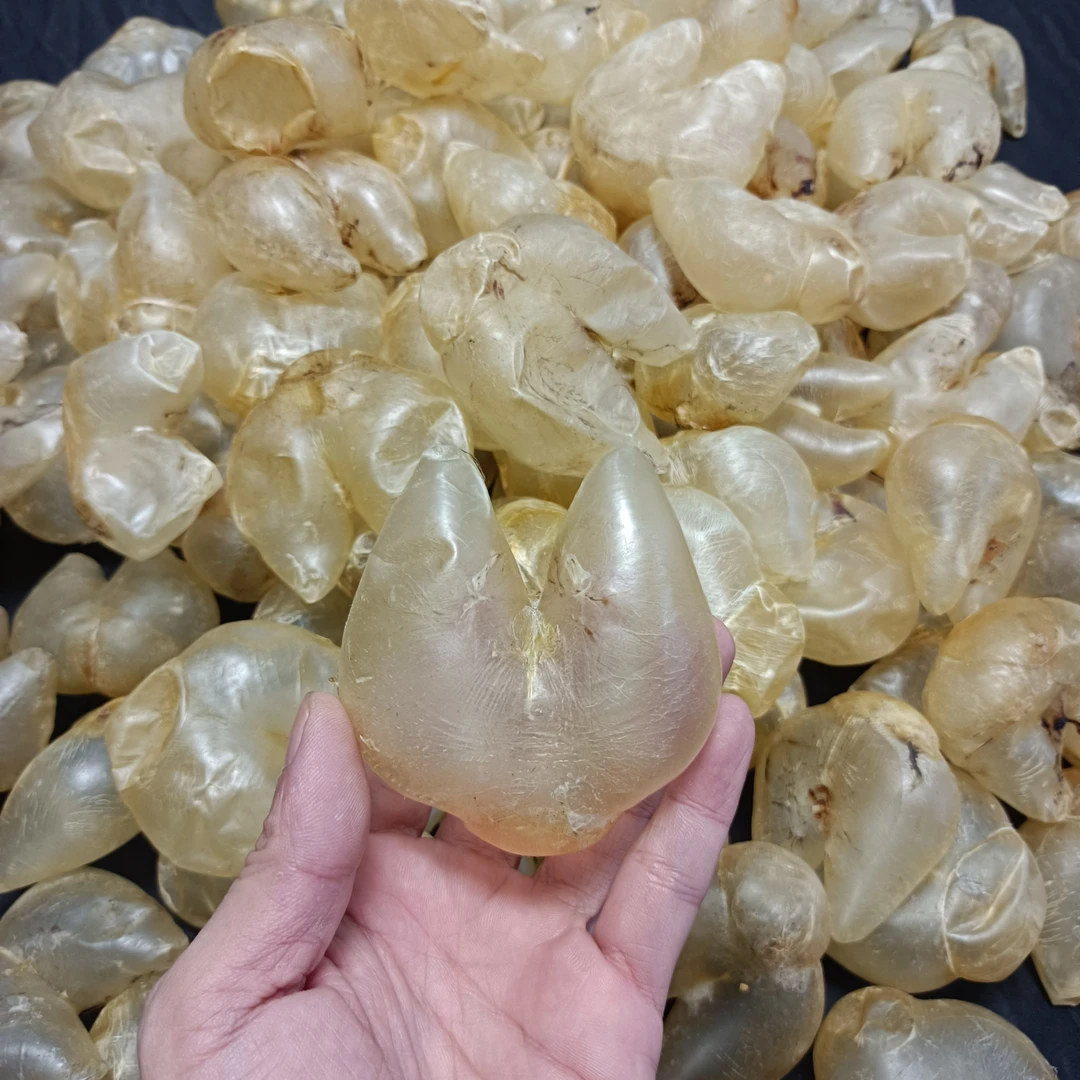 南澳鸡泡胶/性价比高1克-500克
