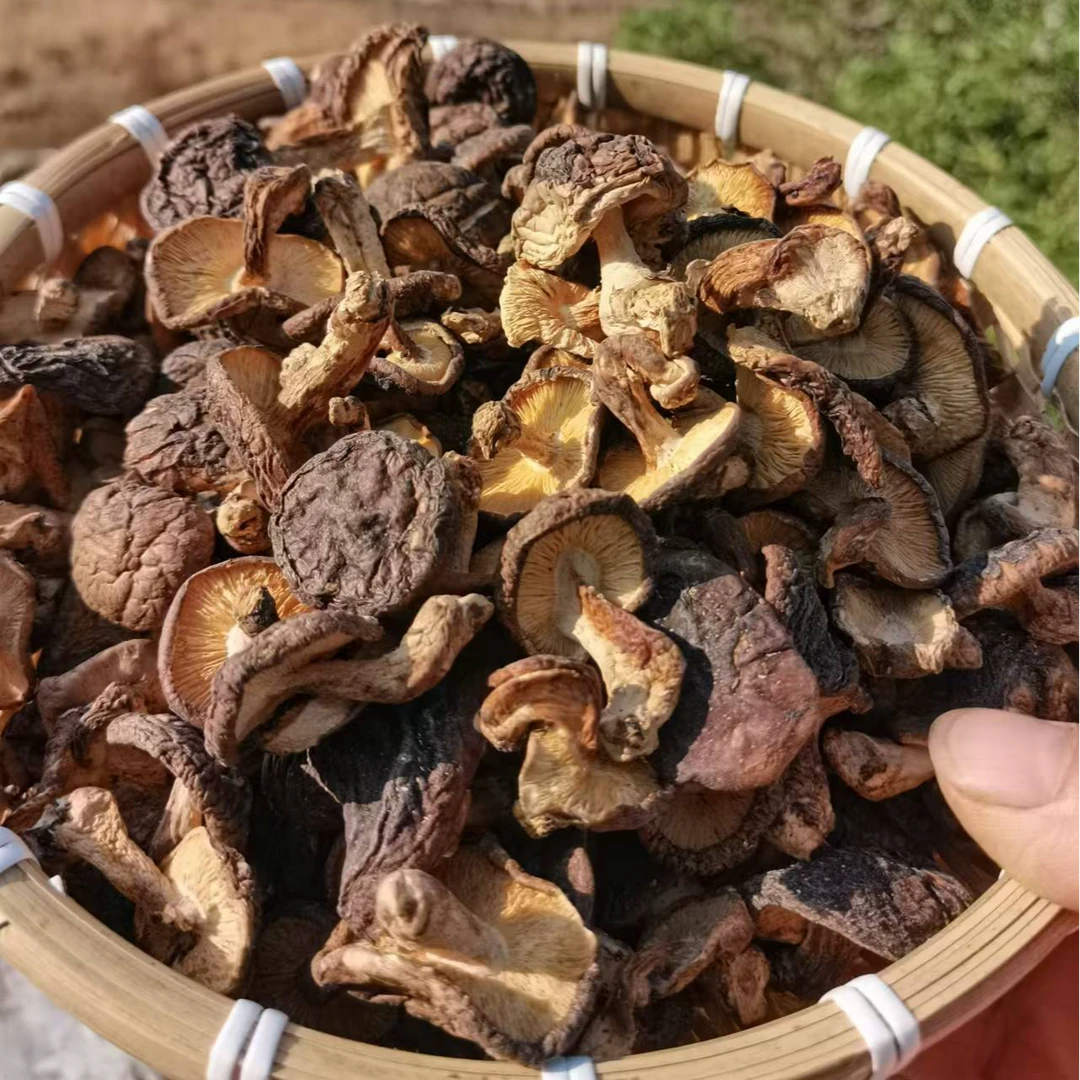江西赣南特产农家段木香菇干香菇