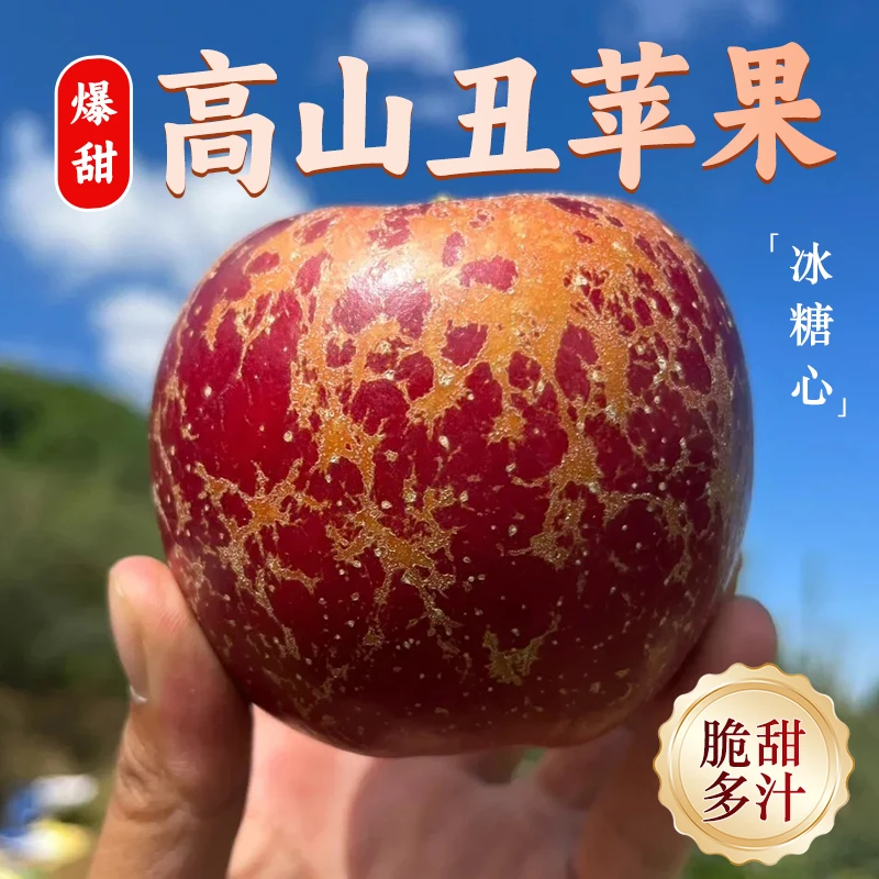 大凉山丑苹果 新鲜当季水果 现摘多汁脆甜苹果皮薄肉多 产地直发