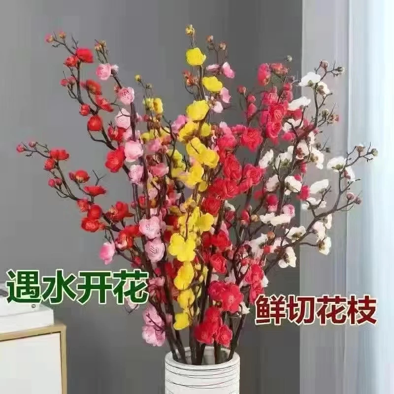 冬季水养水培植物开花带花苞红枝耐寒好养新年装饰年宵花干枝红梅