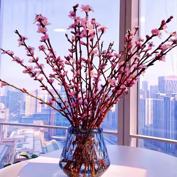 红梅鲜枝遇水四季开花绿梅花泡水水培饰品开花雪柳鲜切干树枝室内