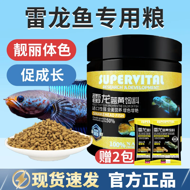 速倍妥雷龙鱼阿萨姆眼镜蛇巴卡铅笔鱼专用鱼粮增体扬鱼粮饲料