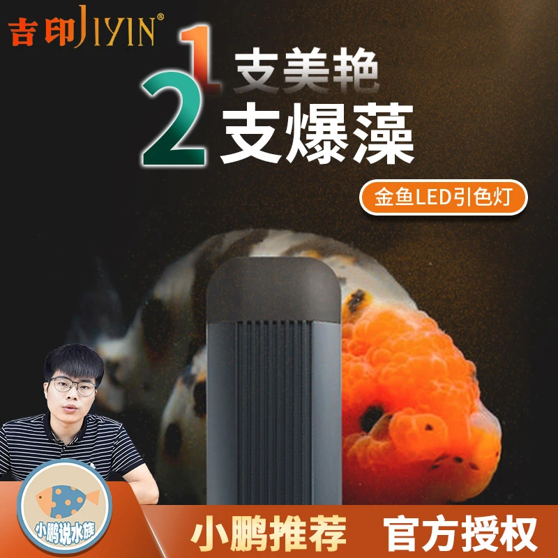 吉印全光谱金鱼爆藻灯led草缸灯鱼缸灯照明水草灯防水 小鹏说水族