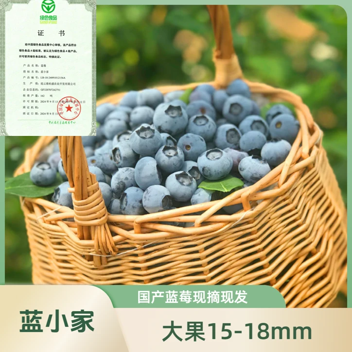 蓝小家【大果15-18mm】蓝莓福利现摘现发婴孕辅食100克每盒