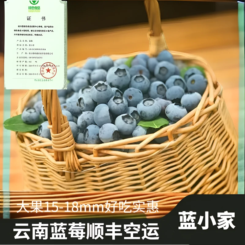蓝小家【大果15-18mm】云南蓝莓现摘现发500克/1斤(加送100克试吃)