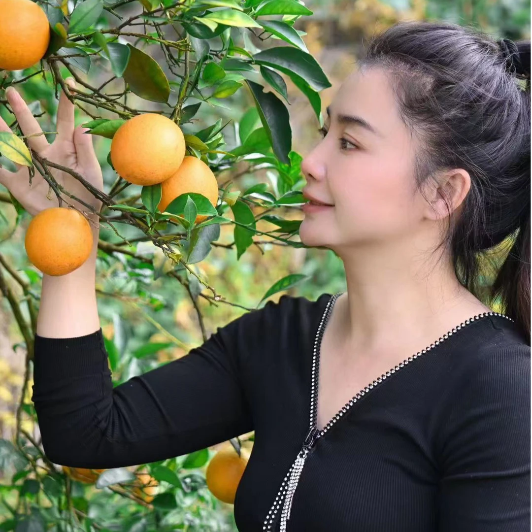 【农村两口子专属】菲儿家乡沅陵高山脐橙