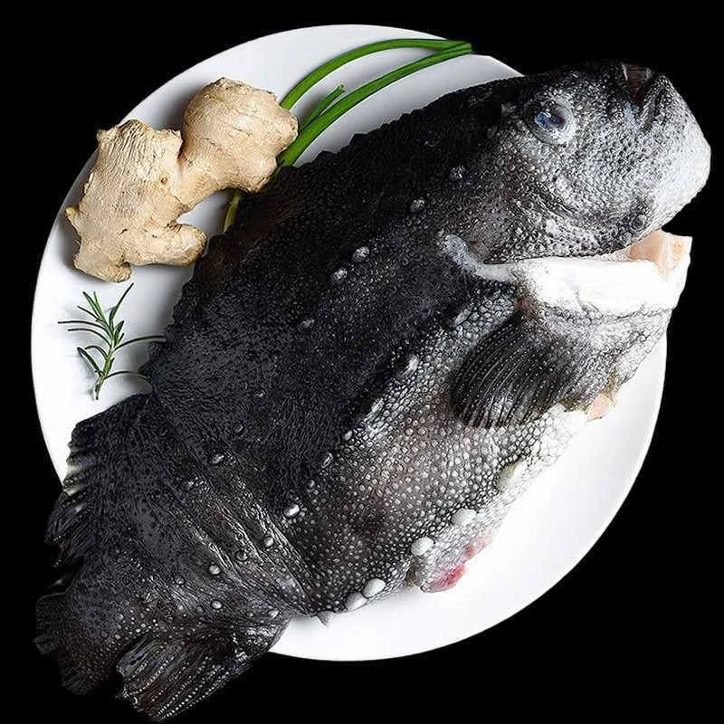 海参斑鱼整条发货