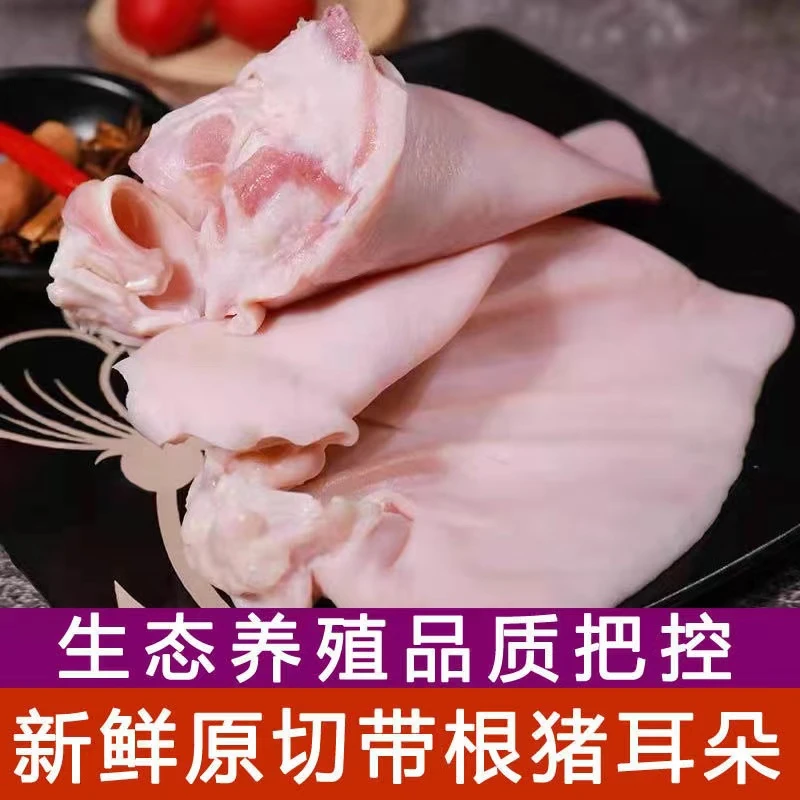 【新鲜猪耳朵】整箱冷冻猪耳冷链生猪耳片土猪耳卤菜商超品质5斤