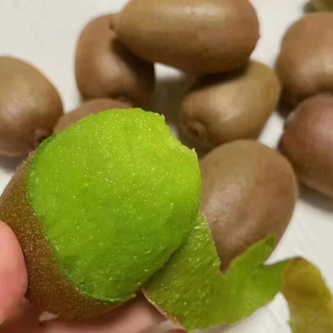 陕西省宝鸡市眉县徐香猕猴桃持续热卖中！陕西特产陕西徐香