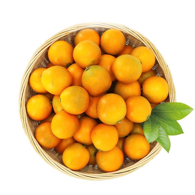 细选金桔约420-450g