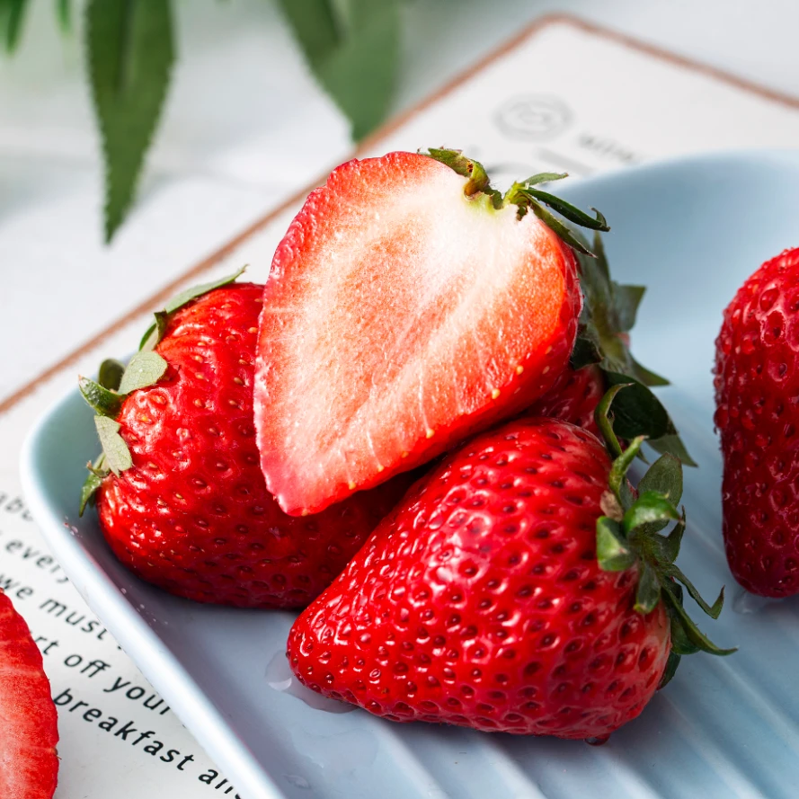 【空运包邮】正宗丹东九九草莓1/1.5/1.8/2.5/2.8斤新鲜产地直发磊