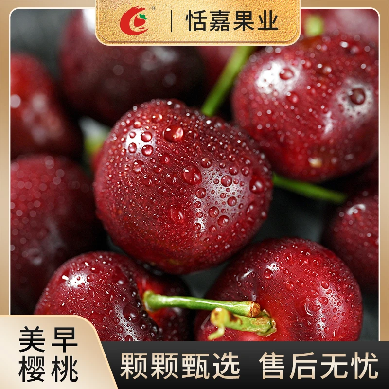 【顺丰包邮】大连露天美早大樱桃新鲜樱桃1.8斤-4.8斤装
