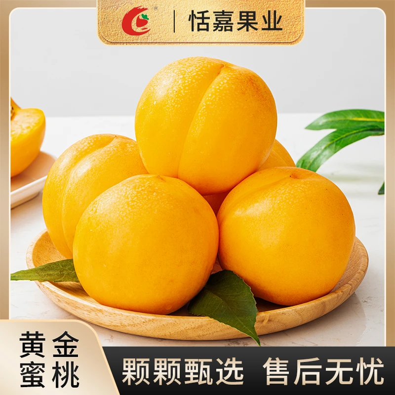 【顺丰包邮】特大果黄金蜜桃4.5斤装7-9枚现摘现发