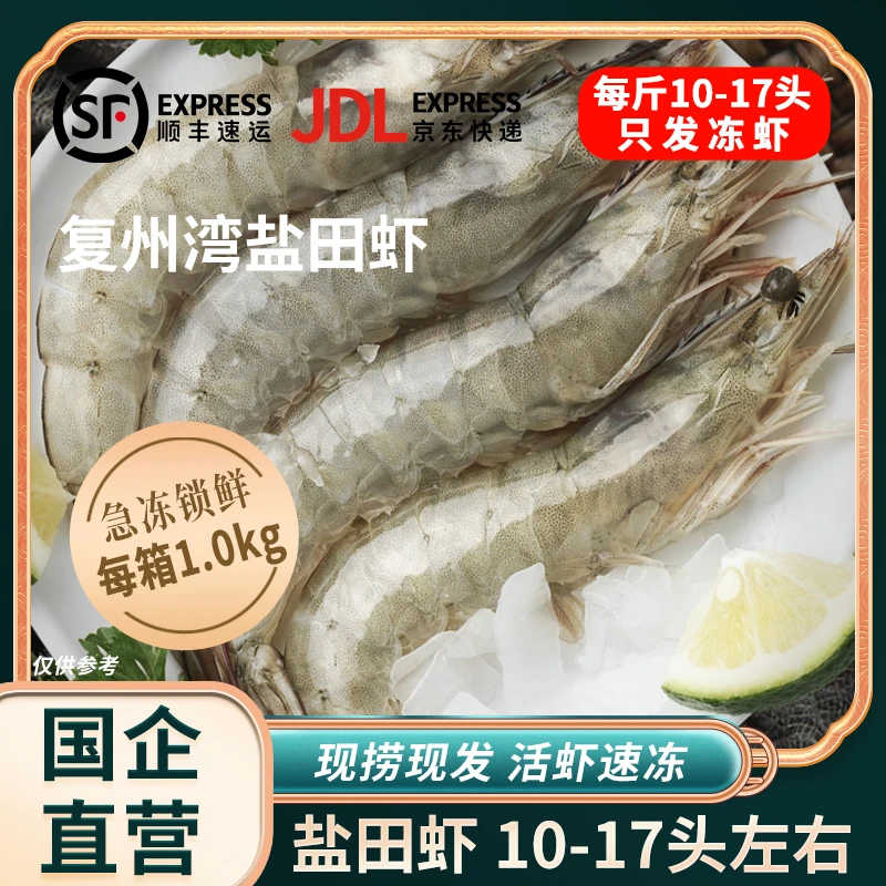 【大连盐业】复州湾盐田虾3斤 每斤10-17只